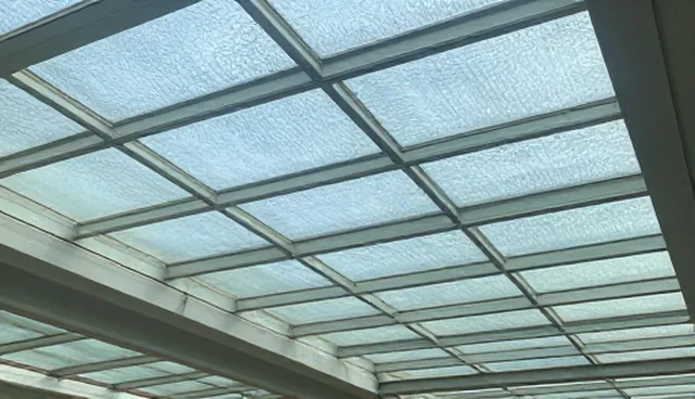 高效杀虫剂：应用场景分析及优化建议